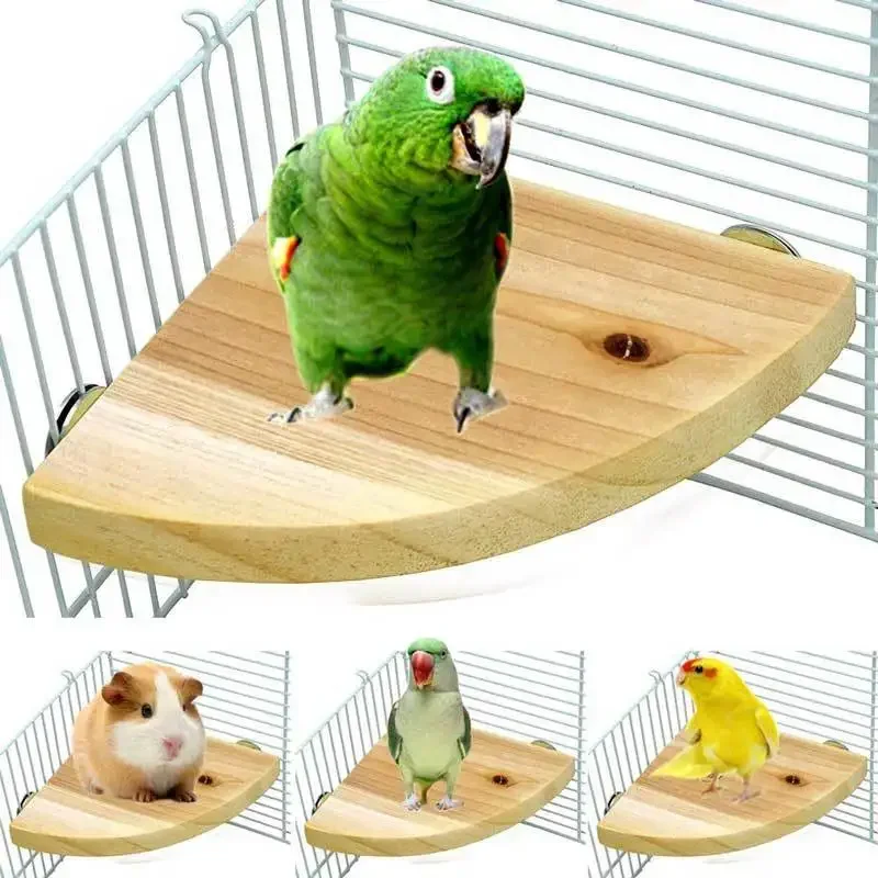 

Squirrel cage springboard, dragon cat, hamster, fan-shaped pedal, hamster, parrot stand board, jumping platform, rest platform