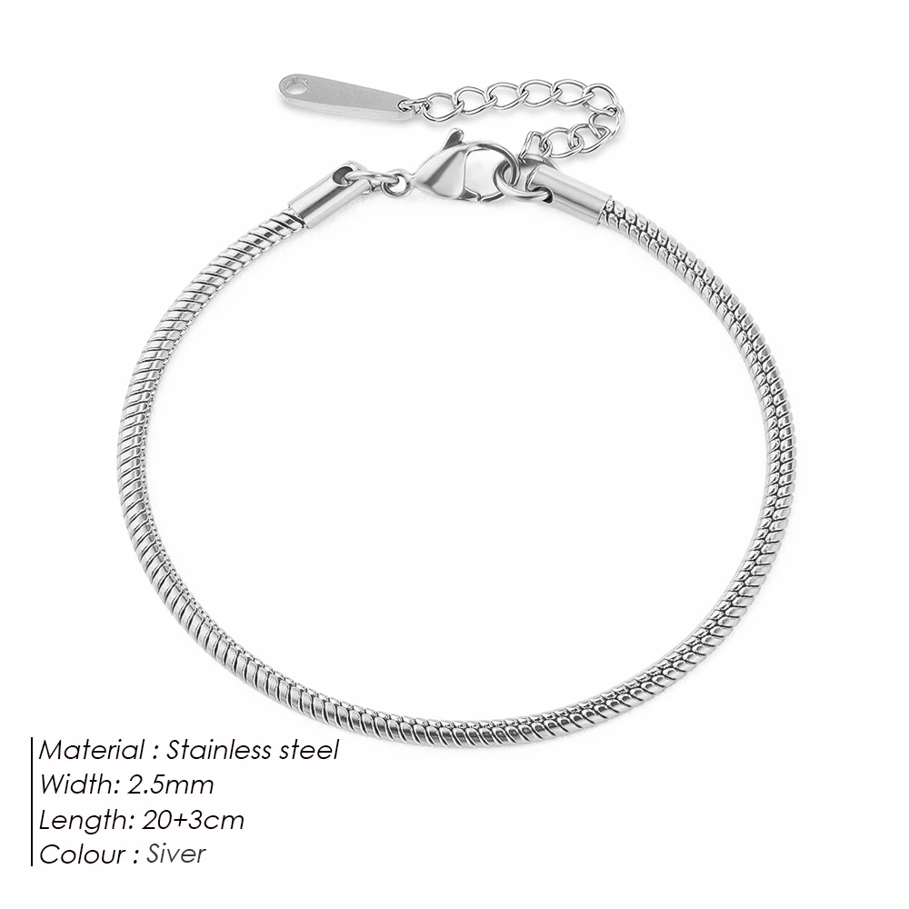 Women's Stainless Steel Round Snake Chain Anklet