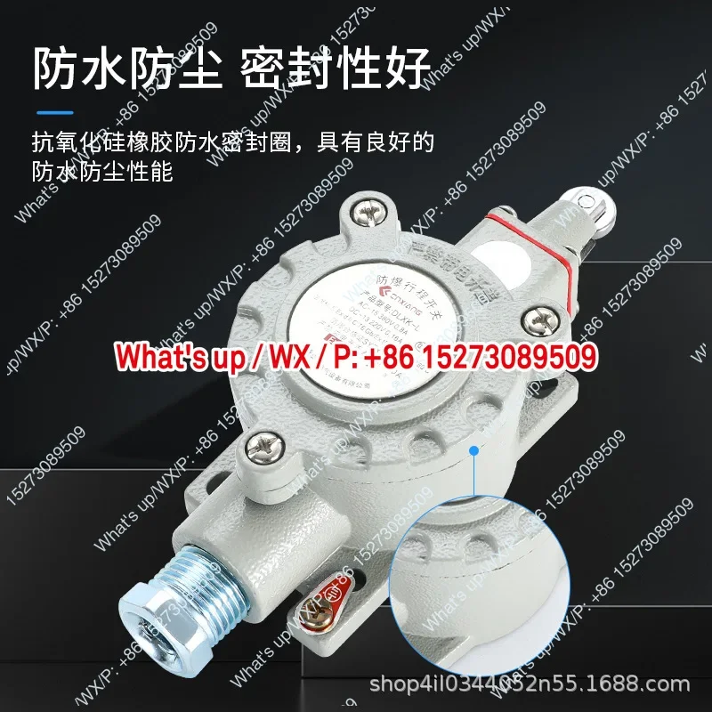 Explosion-proof travel switch DLXK explosion-proof limit switch BZX51  B  T  L  Z  N type explosion-proof switch
