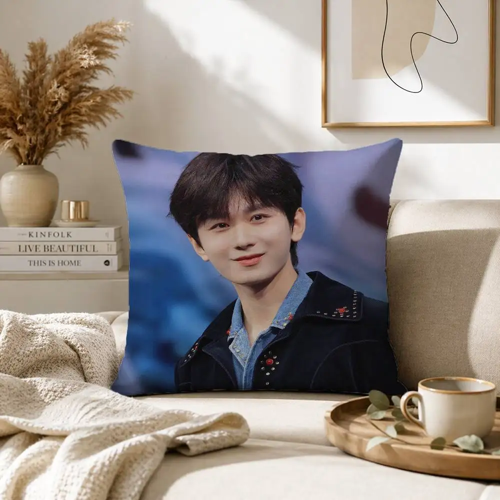 Cheng Yi Pillow Case for Sofa Living Room Home office Decor Protective Cover