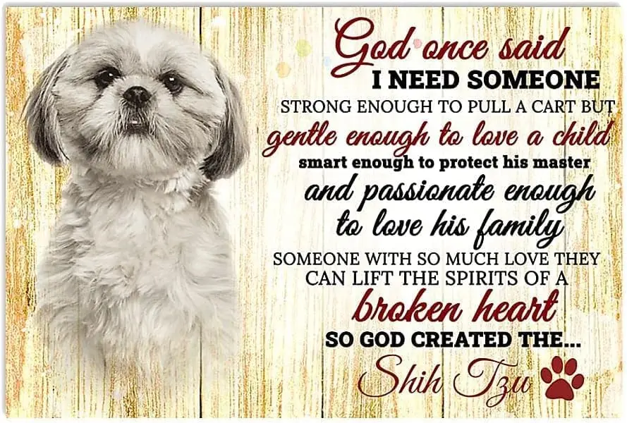 God Once Said I Need Someone Shih Tzu Funny Retro Aluminum Tin Sign Metal Wall Art Decorations Iron Painting for Home Decor Room