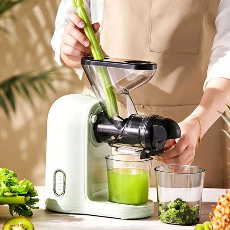 Juicer Juicer Residue Juice Separation Multifunctional Household New Celery Small Automatic Low Speed Kitchen Home