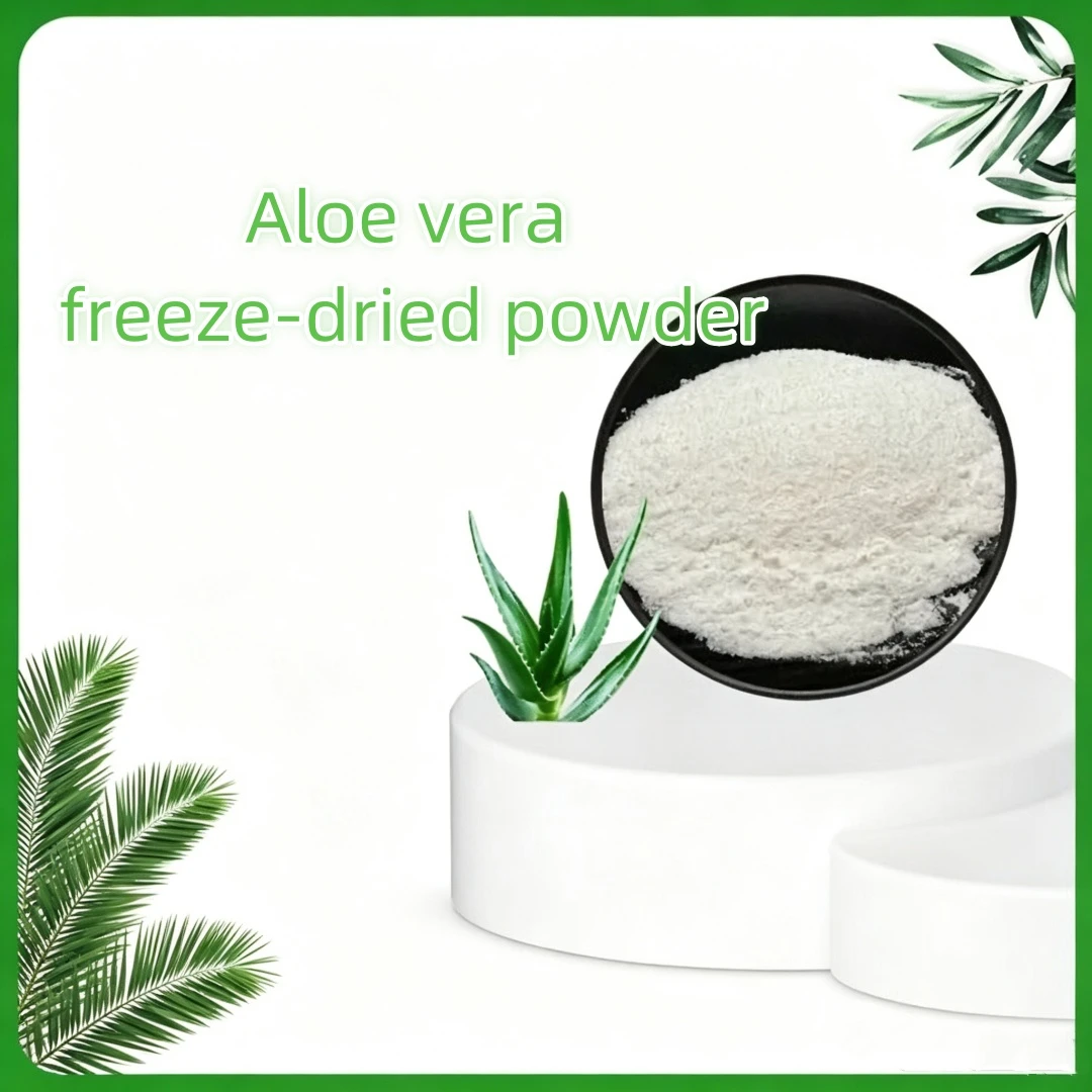 200:1 Aloe Vera Freeze‑dried Extract Powder Natural Diy Craft Material For Soap Incense Home Fragrance Diy Accessories