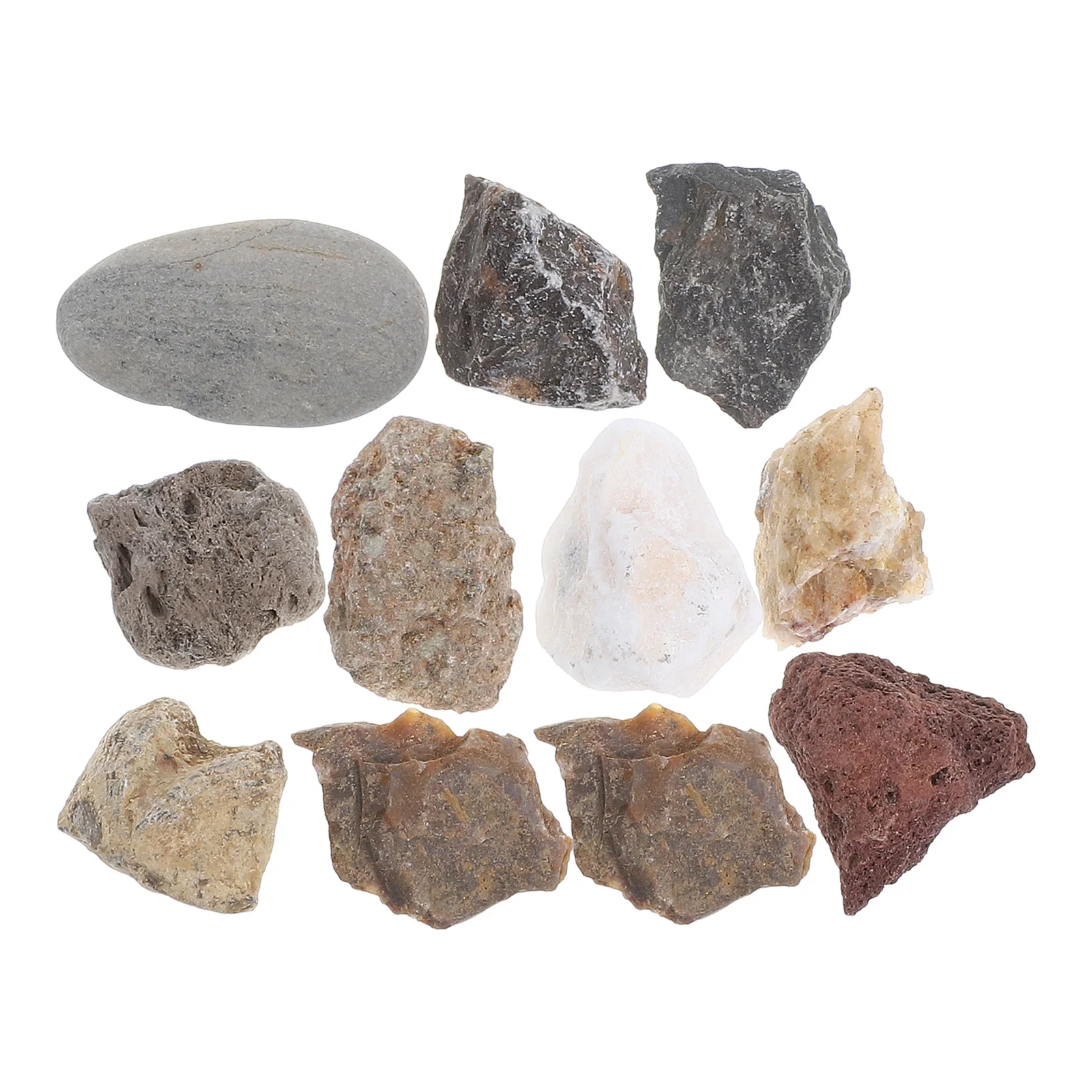 Fourth Grade Rock Specimen Set Student Use Plastic Collection for Field Testing