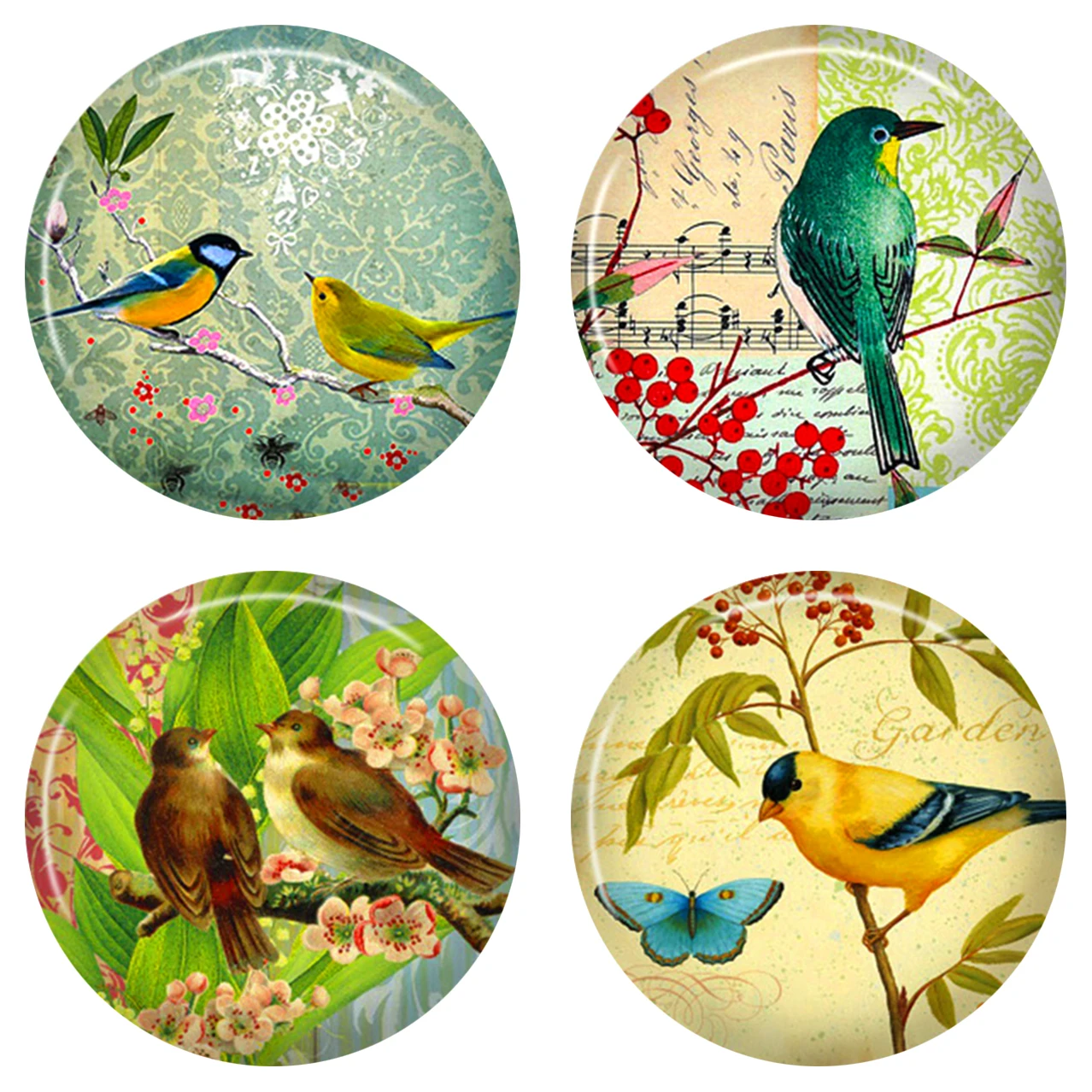 10mm 12mm 25mm 14mm 16mm 18mm 20mm  Photo Pattern Cabochons Round Cameo Set Handmade Settings Stone Snap Bird BNRF4118