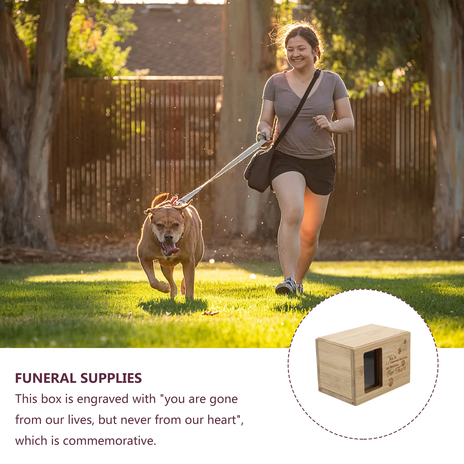

Durable Pet Cremation Urn Safe Material Small Size Convenient for Home Use Cats Dogs Memorial Box Pet Cremation Urn