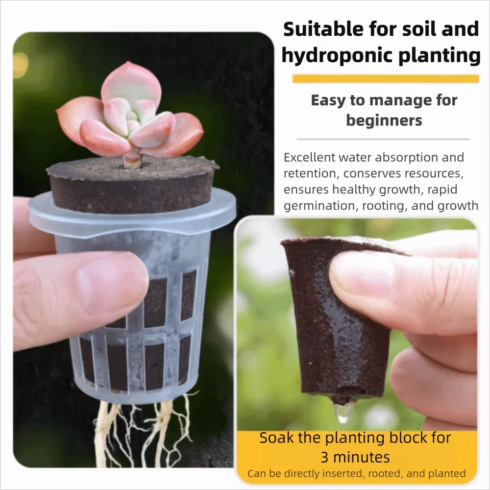 المواد البلاستيكية أواني زراعة البذور المائية قابلة لإعادة الاستخدام سلال الشتلات المتينة شفافة عرض الجذر أكواب العصارة المتنامية