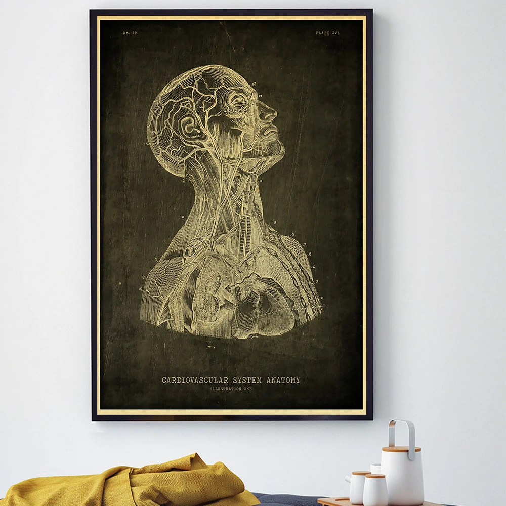 Anatomy Skeleton Education Poster Wall Chart Prints Posters Home Living Bed Room Decor Bar Cafe Pictures Frameless Wall Painting