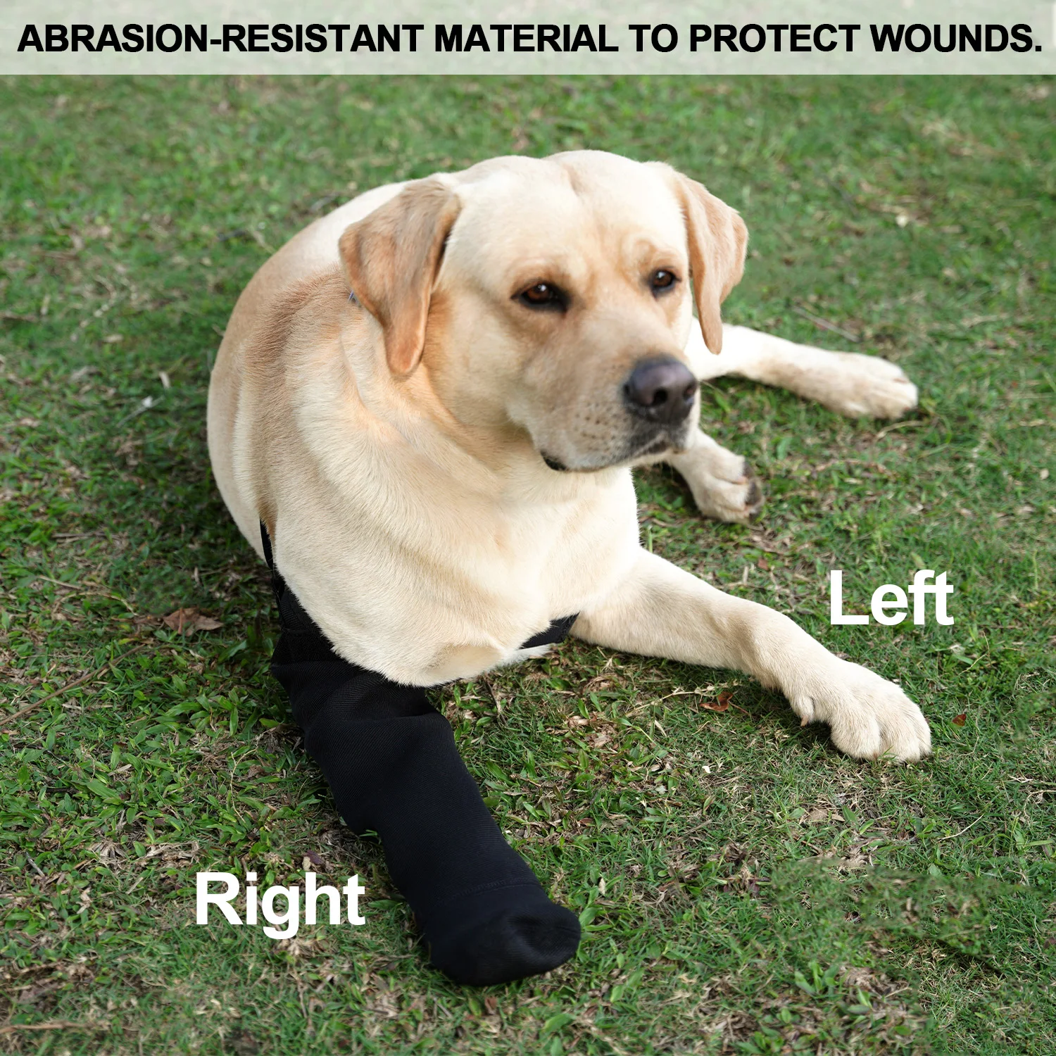 Waterproof Single Leg Dog Sock - đánh giá và giá Dog Raincoat