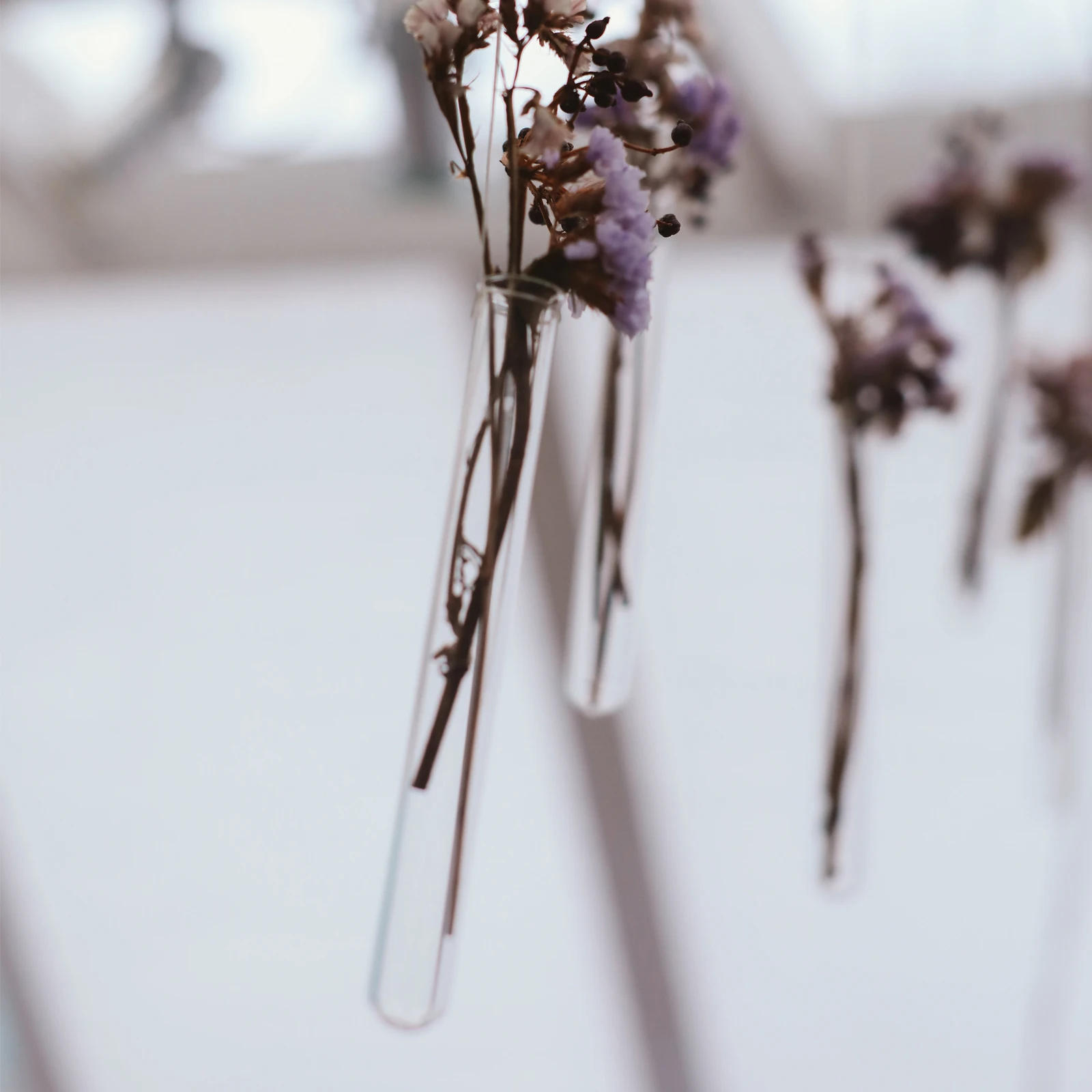 

Test Tubes Set Plastic with Lids Empty Combo Pack Cork Labels for Crafts Transparent