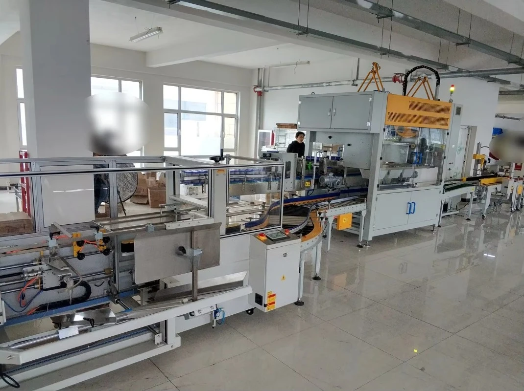 High Efficiency Automatic Wrap-Around Tray Case Packer for Industrial Production Custom
