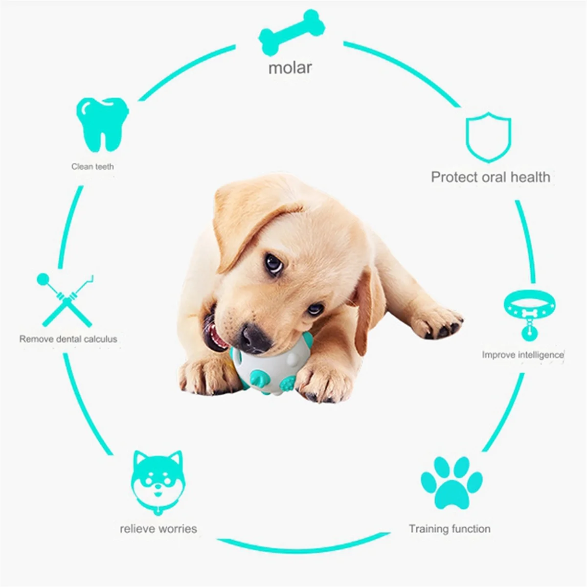 

Puppy Toys for Teething Fun Dog Toys Innovative Chew Toys Dog Toys Gentle Professional Puppy Chew Toy Dog Chew YellowJADD