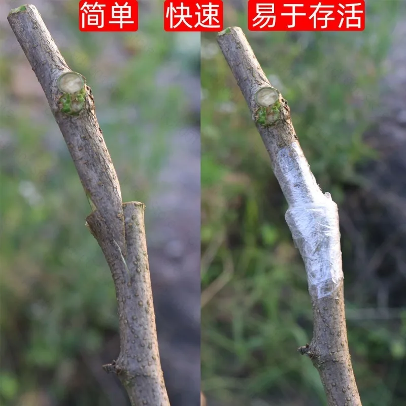 Grafting Machine J60 Fruit Tree Seedling Grafting Multifunctional Grafting Artifact Special   New Tools