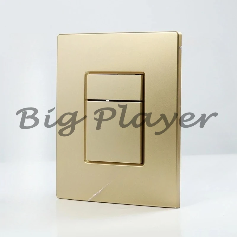 

Wall Mounted ABS Plastic Dual Flush Plate Push Panel Button Matte Black 38732 Skate Plate Electroplating