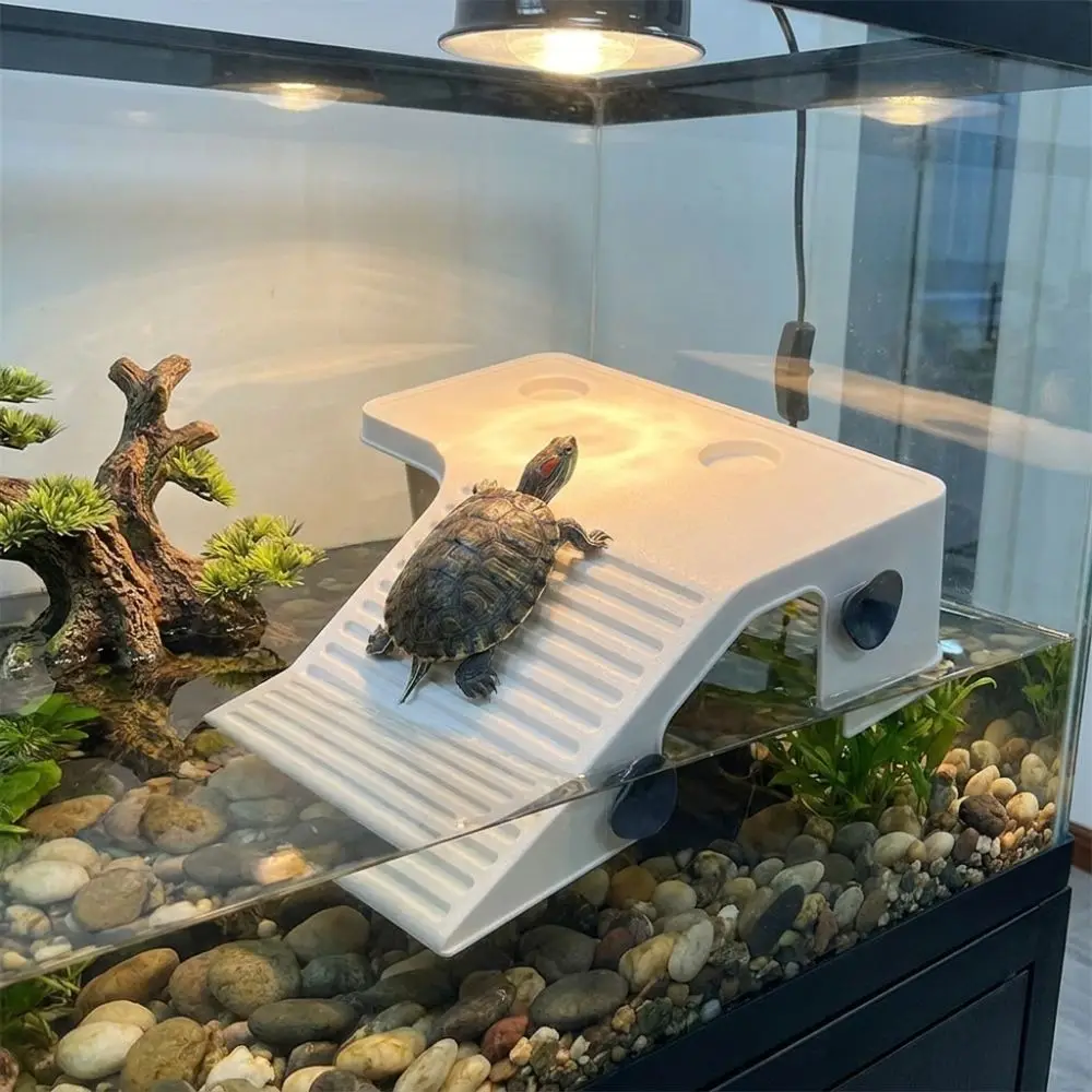 Non-Slip Turtle Floating Platform Stable Suction Cup Turtle Climbing Slope Plastic Reptile Ramp Turtle Enclosure