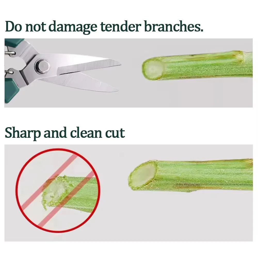 مقصات تشذيب الرأس المستقيمة مقبض مانع للانزلاق من الفولاذ المقاوم للصدأ أدوات يدوية مقص حديقة بونساي مقص Pruing القص