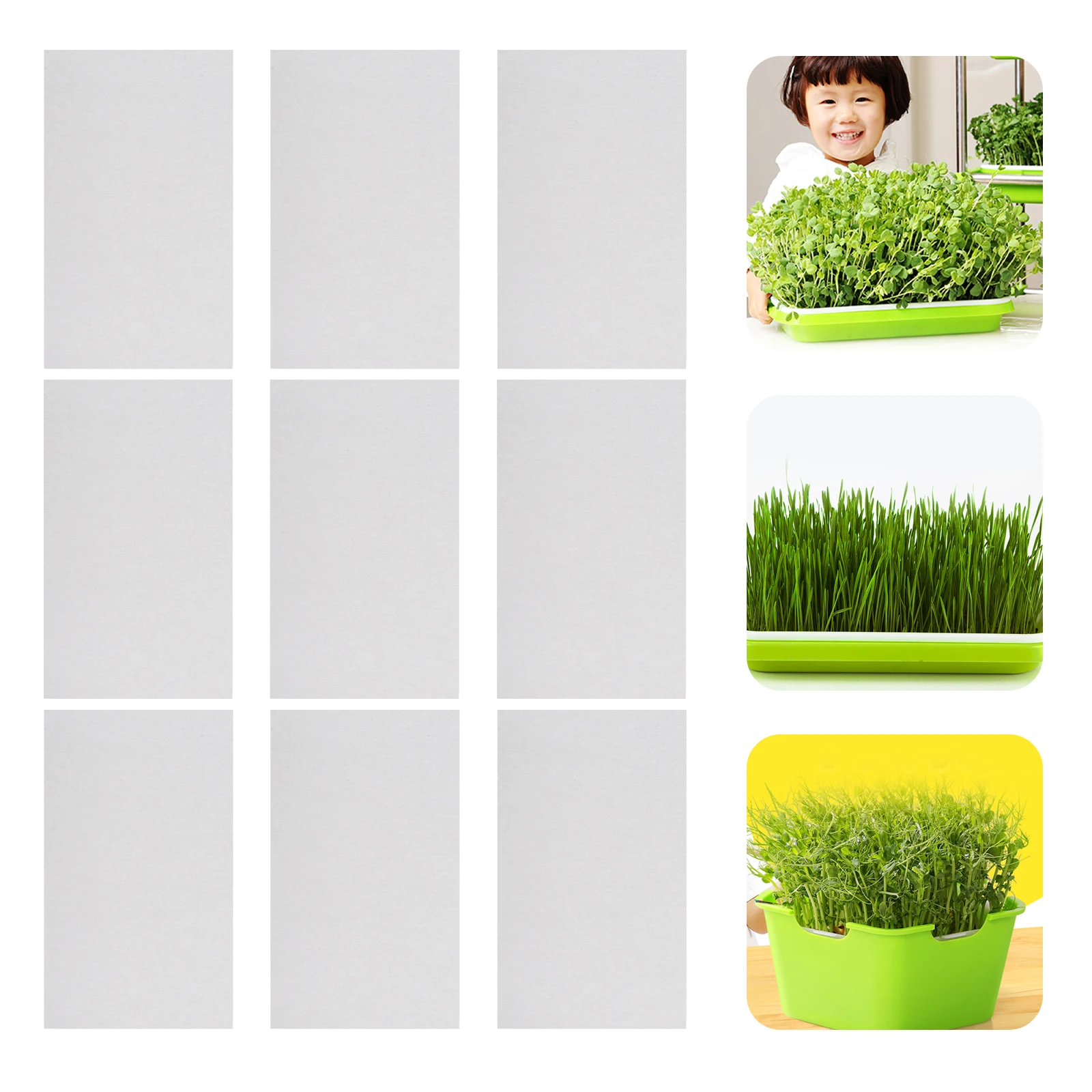 

150pcs Premium Planting Odorless Water-Absorbent Seed Germination Paper Reusable Sprout Cultivation Paper For Seeds Beans Wheat