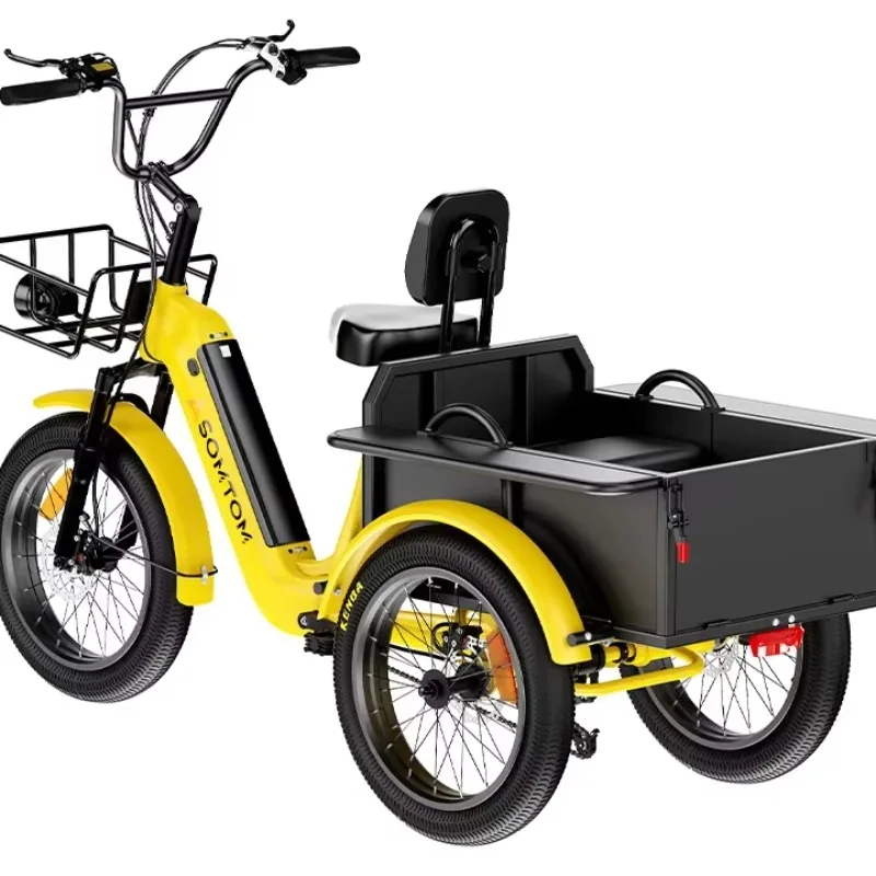 750W Rear Hub Motor 48V Lithium Battery Power Electric Cargo Bike with Aluminum Frame 3 Wheels Rickshaw Trike Bicycles