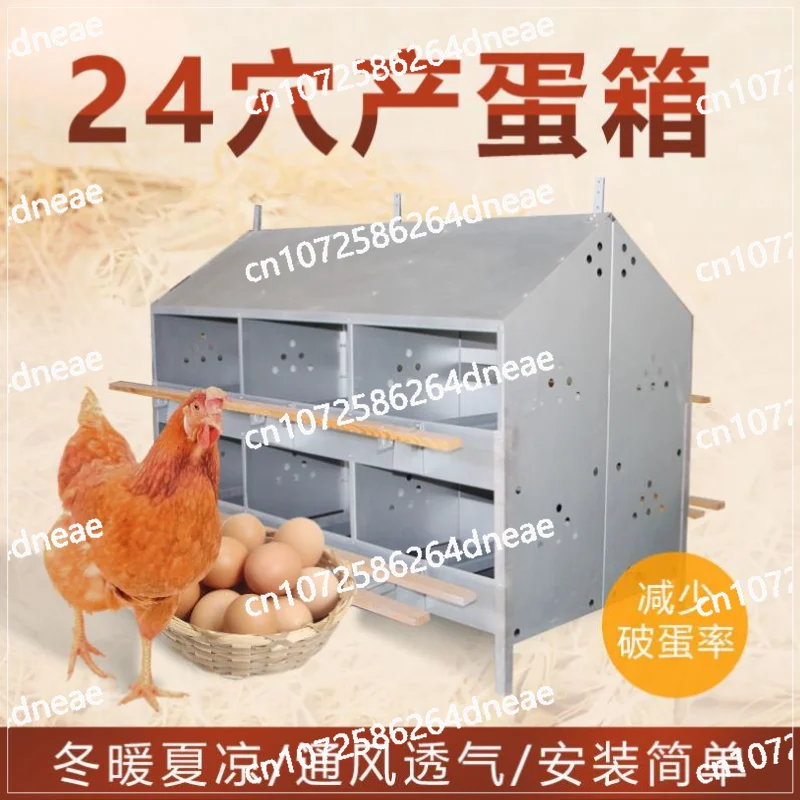 Free-Range Chicken … - image