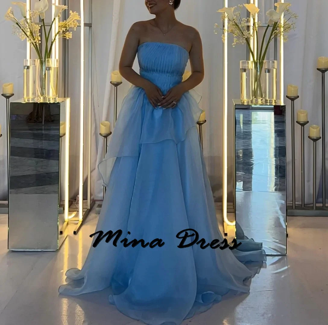 

Mina Customized Backless Evening Dress Pleated Luxurious Women's Evening Dresses for Special Occasions Sleeveless Strapless Prom