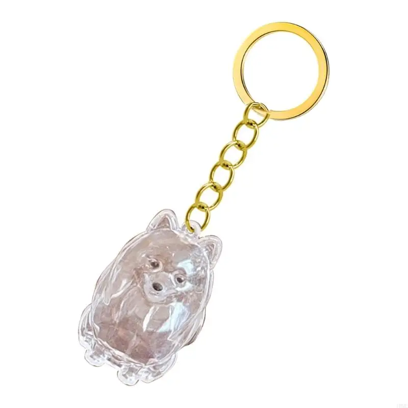 Dog Hair Memorial Box Keychain Clear Display Box Pet Hair Storage Box J0MC