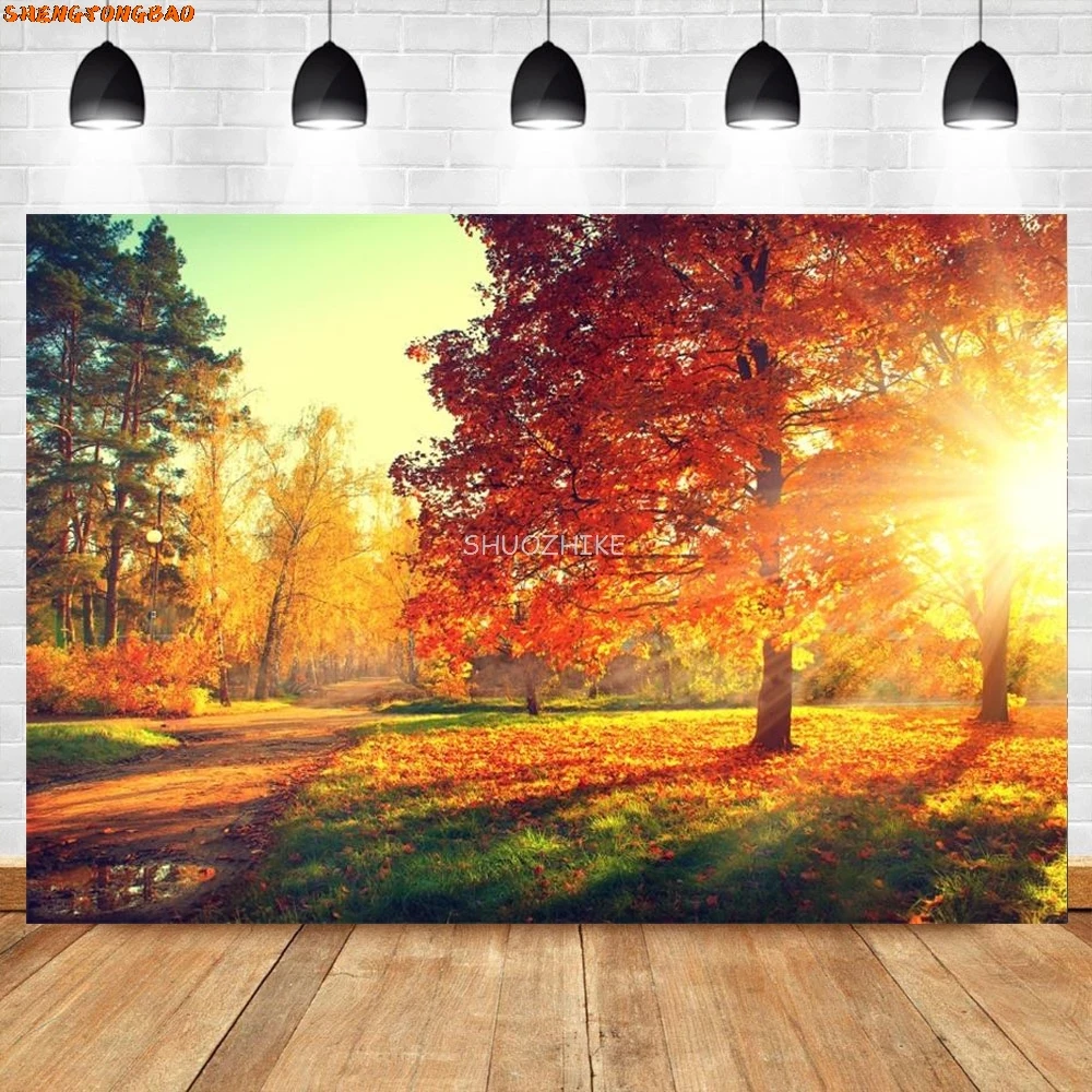 Tła do zdjęć opadłe liście Park Way narożnik drzewo dziecko naturalna jesień malownicze tła fotograficzne do studia fotograficznego