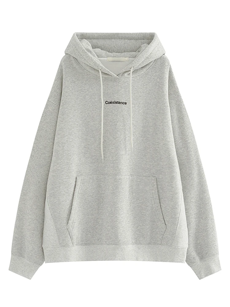 Korean Fashion Grey Fleece Thicken Baggy Pullover Pocket Letter Printing Sweatshirt Lazy Casual Raglan Sleeves Hoodie Autumn