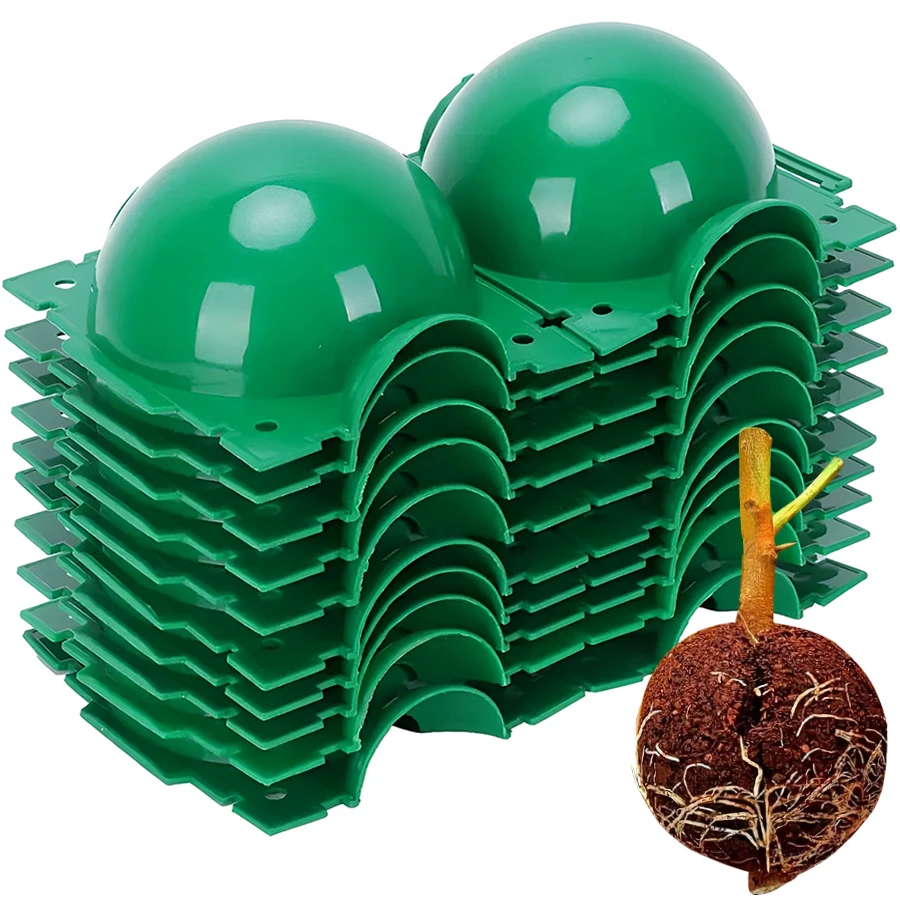 6pcs Green Plant Propagation High-pressure Box Plant Horticultural Cutting Grafting Propagation Device Spherical Rooting Box