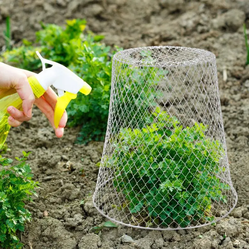 Cubierta protectora de plantas de alambre, jaula de protección de frutas y verduras para techo de jardín, evita conejos, pollos y ardillas, 5 piezas