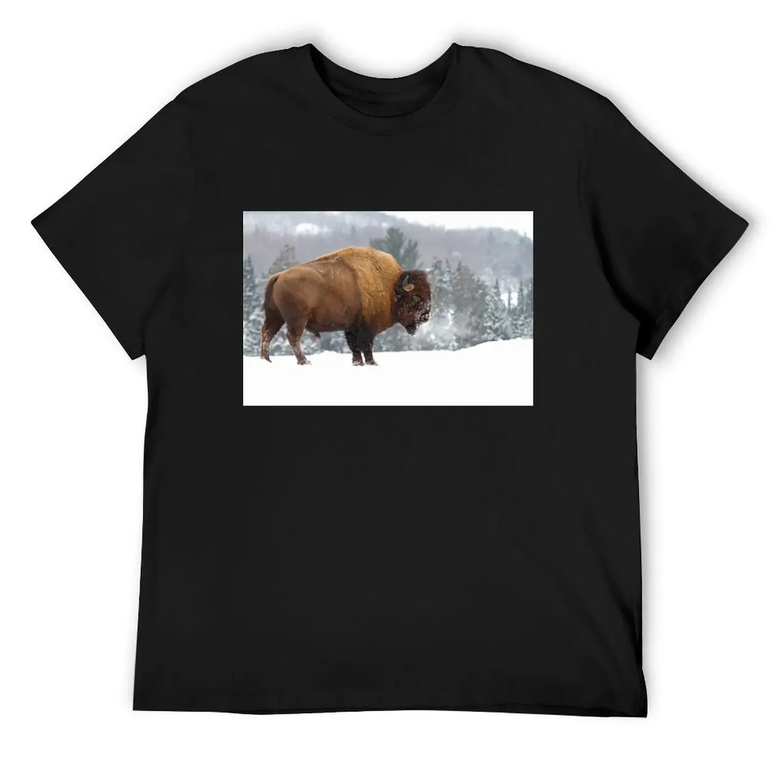 

Buffalo in Winter T-Shirt