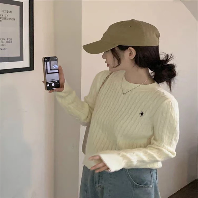 Fried Dough Twists Embroidery Round Neck Knitted Autumn And Winter New Casual Pullover Sweater