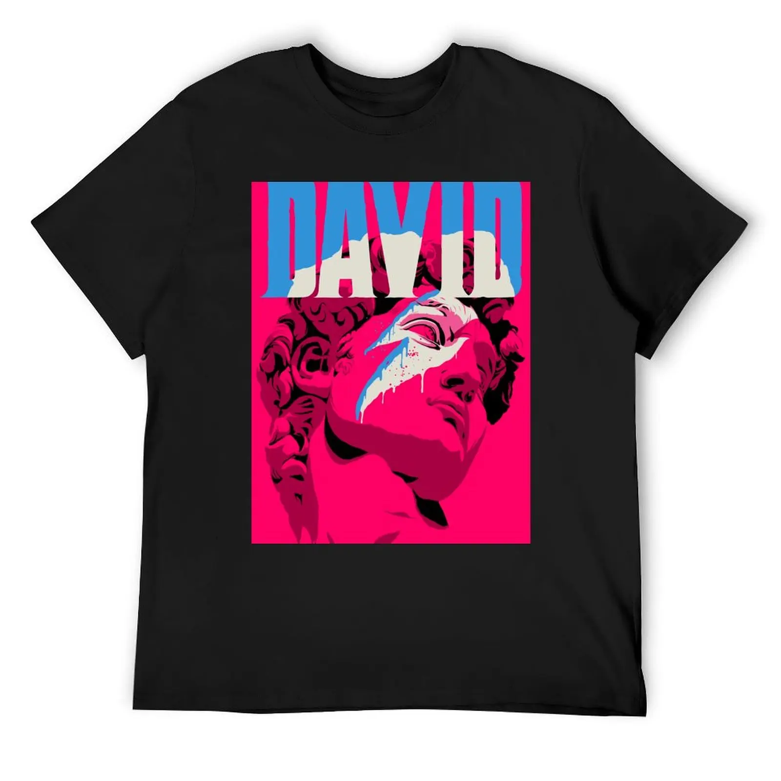 Reversed David T-Shirt man t shirt baggy shirts t shirts for men