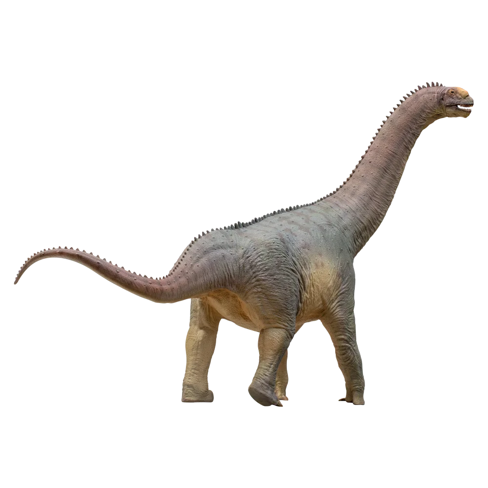 PNSO-Njor نموذج ديناصور Camarasaurus ، ديناصور ما قبل التاريخ 85