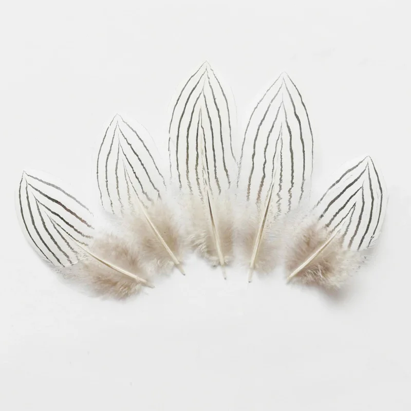 50Pcs/lot!  4-6inches 10-15cm Real Craft Silver Pheasant Feathers, Natural Unique Silver Feathers,pheasant tail feathers