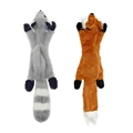 Raccoon Fox