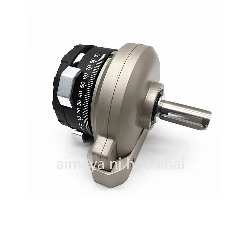Oscillating rotary for  DSR Series cylinder DSRL/DSR-10-12-16-25-32-40-180-P-FW Rotary cylinder