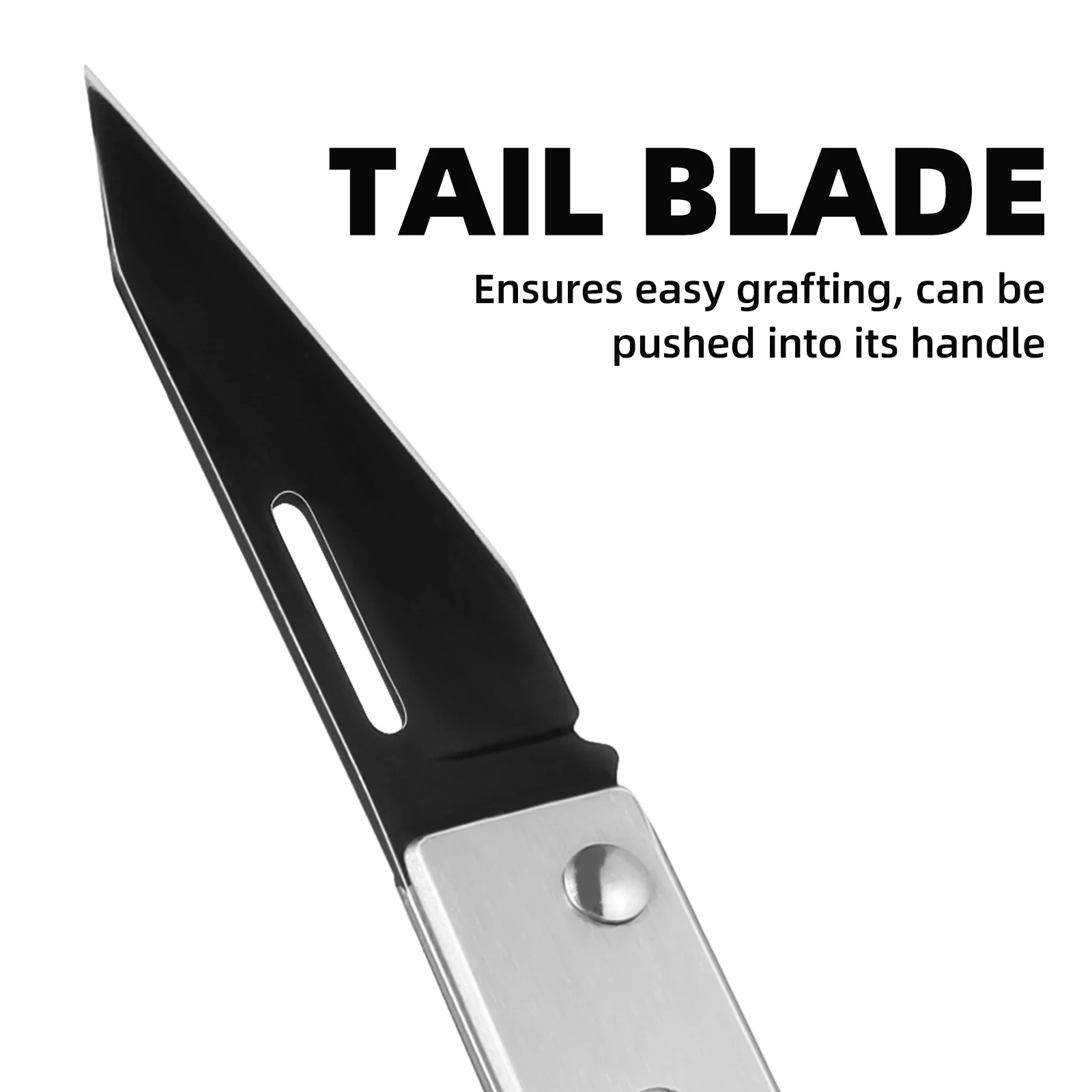 

Bark Scraper Professional Grade Stainless Steel Lightweight Gardening Tool for Peach Tree Bark Stripping No