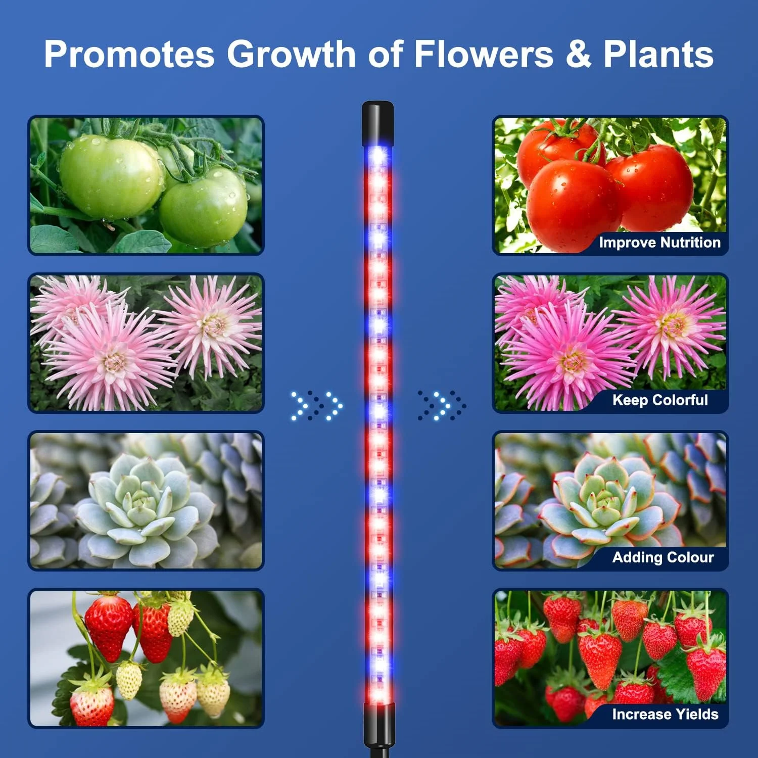 LED USB Grow Light Plants 5V Full Spectrum Light Home Flower Seedling Clip Phyto Lamp Dimmable Timing Control 3/9/12Hours