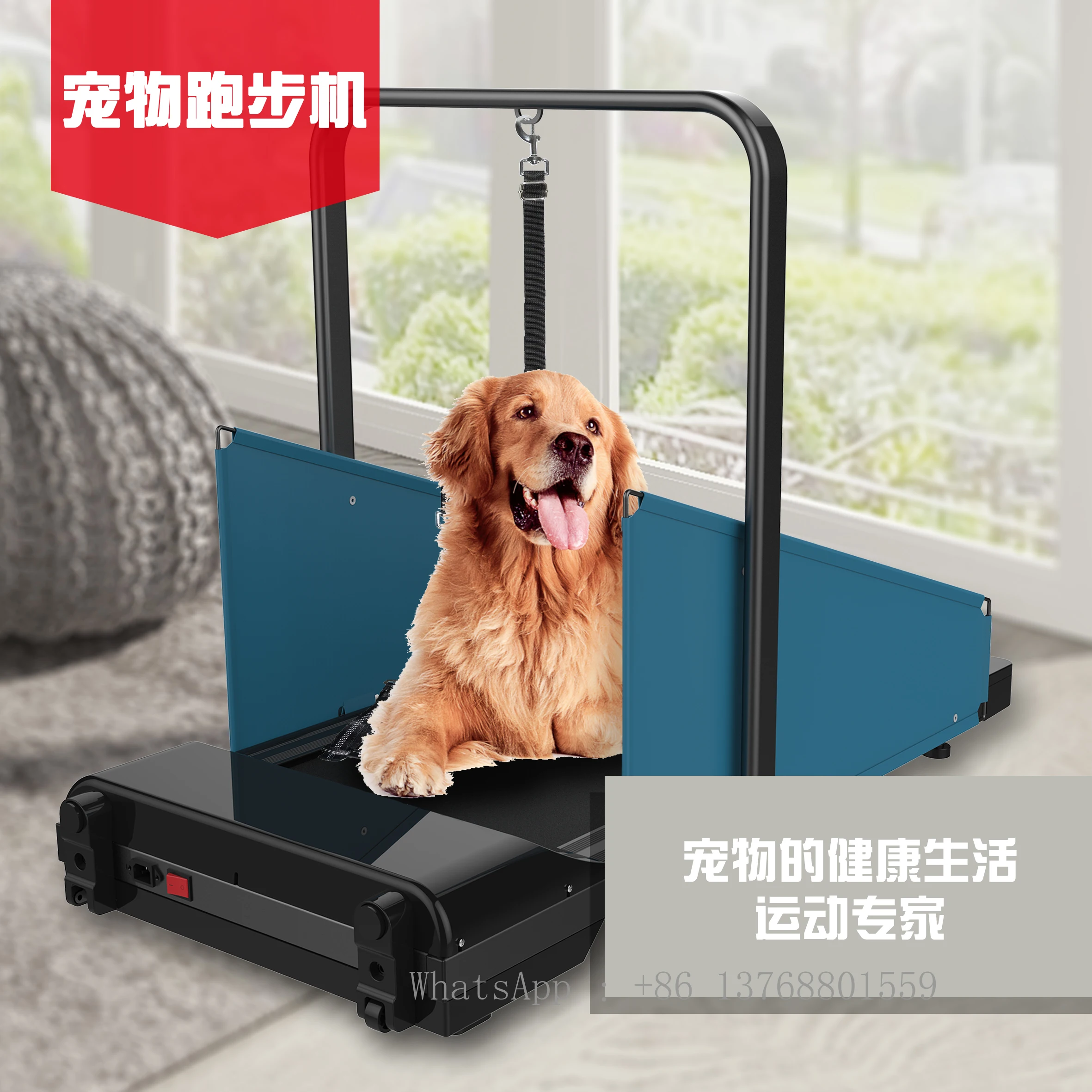 2022 New Pet Dog Training Treadmill Suitable For Medium And Small Large Dogs