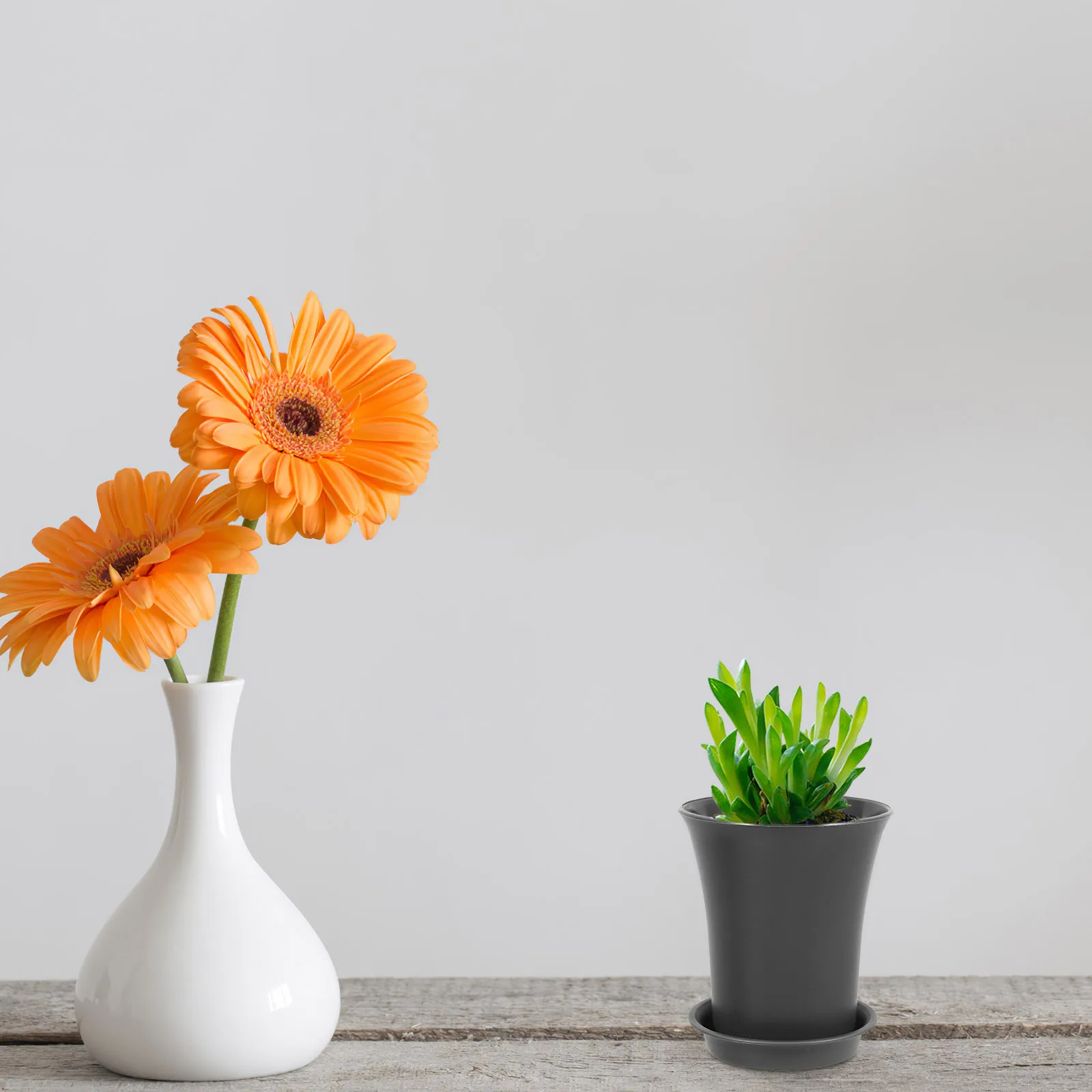 

10Pcs Small Plant Pots with Saucer Modern Decorative Planter for Succulents Herbs Indoor Outdoor Garden Nursery Plastic Flower