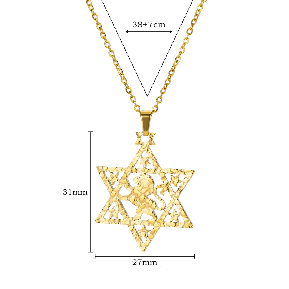 Lion Star of David Necklaces For Women Men Gold Color Stainless Steel Pendant Necklace Male Female Neck Chain Jewelry