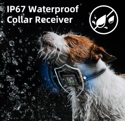 Anti Bark Collar Rechargeable IP67 Waterproof 3 Modes Beep Vibration Shock 8 Adjustable Sensitivity Levels with LCD Color Screen