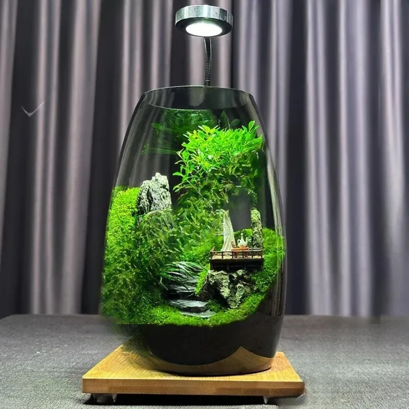 

Large-size desktop, micro-landscape creative green plants, office bonsai high-end gift-giving ornaments