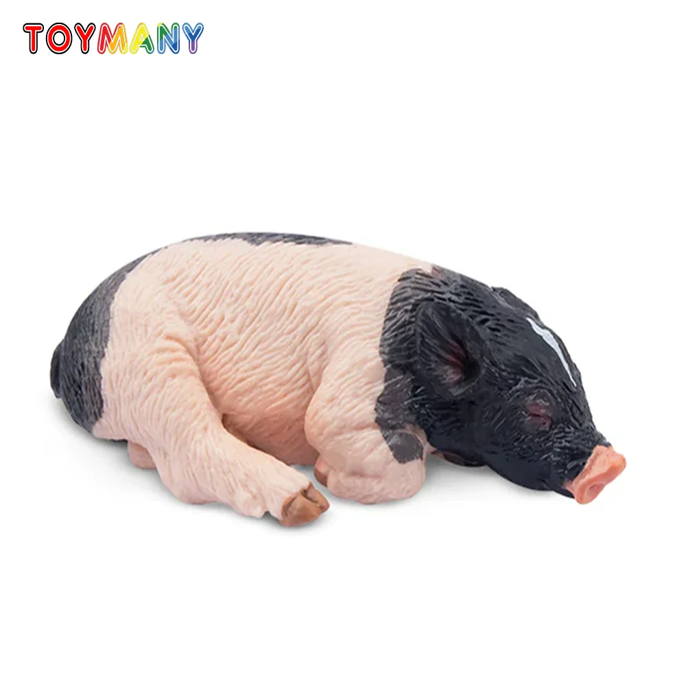 

Toymany Simulation Sleeping Pietrain Piglet Farm Animal Model Toy Mini Figures Dolls Action Figurines Toys Children Gift