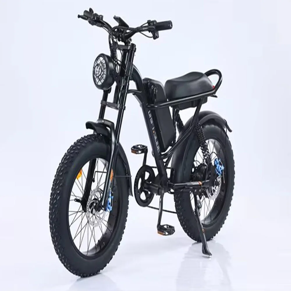 Electric Bike for Adults 2000W 48V 45Ah , 35 MPH Dual Motor Dual Battery Ebike, 20 Fat Tire Full Suspension, Up to 173Miles