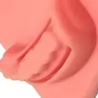 

Dental Suture Kit Oral Teeth Gum Suture Training Kit Surgical Practice Dental Wounds Kit Dentist Teaching Model Dental Tools