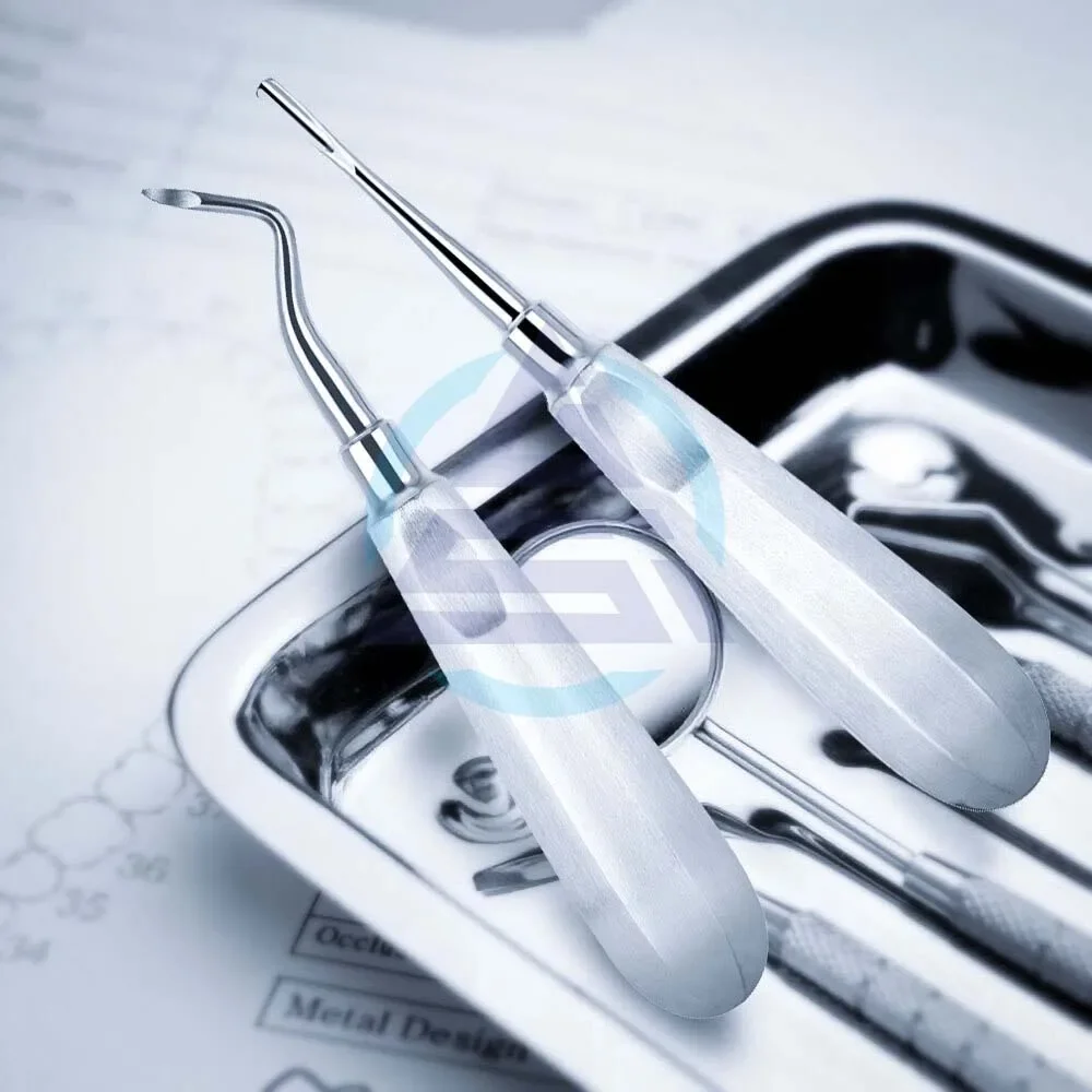 Dentalss 12PCS Set Elevators Stainless Steel Teeth Extractions Tools Kit Straight Curveds Root Elevators Dentists Tools
