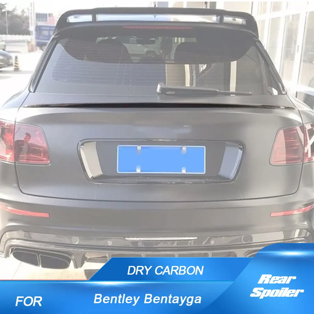 Dry Carbon Car Rear… - image