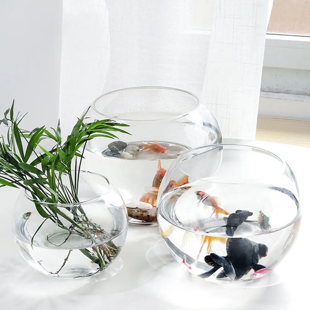 

Creative Glass Vase Transparent Hydroponics Plant Holder Decorative Flower Vase Desktop Ornament for Home Office Hotel 25Cm