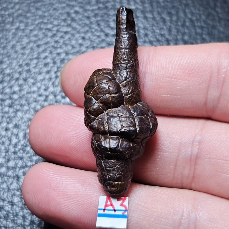 

High Natural Egypt Desert Black King Kong Stone Teaching Mineral Specimen For Home Feng Shui Decorati on And Festival Gift